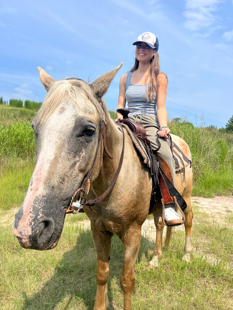 Rider and palomino horse